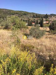 Οικόπεδο 3.323 τ.μ. για πώληση