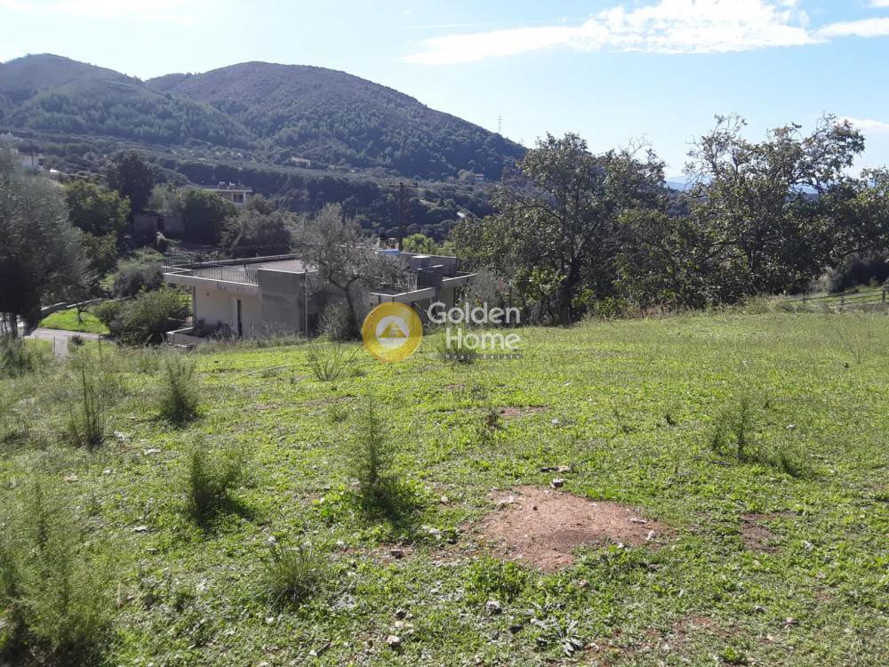 Οικόπεδο 651 τ.μ. προς πώληση, Σκιόεσσα