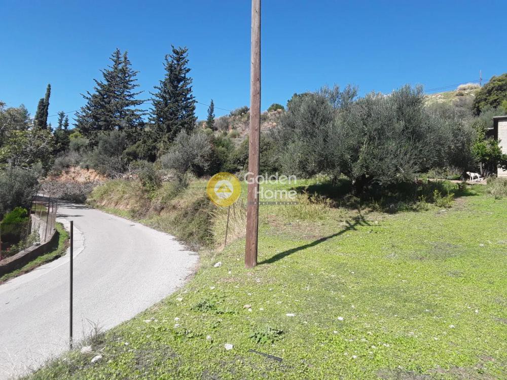 Οικόπεδο 651 τ.μ. προς πώληση, Σκιόεσσα