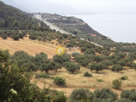 Parcel 200.000sqm for sale-Akrata » Fourni