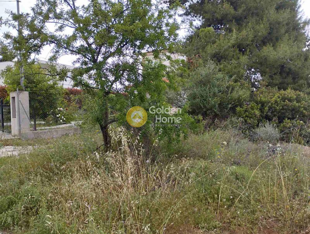Οικόπεδο 548 τ.μ. προς πώληση, Μελίσσι Ξυλοκάστρου