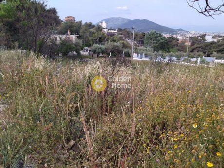 Land plot 1.080sqm for sale-Anthoisa