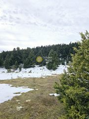 Οικόπεδο 8.000 τ.μ. για πώληση, Φωκίδα, Παρνασσός-thumb-3