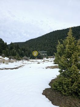 Land plot 8.000sqm for sale-Parnassos » Eptalofos