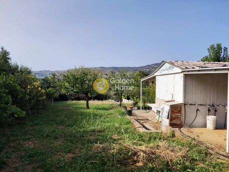Land plot 2.000sqm for sale-Artemida » Agios Vlasios