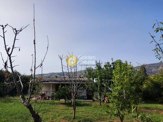 Οικόπεδο 2.000 τ.μ. για πώληση, Μαγνησία, Αρτέμιδα-thumb-7