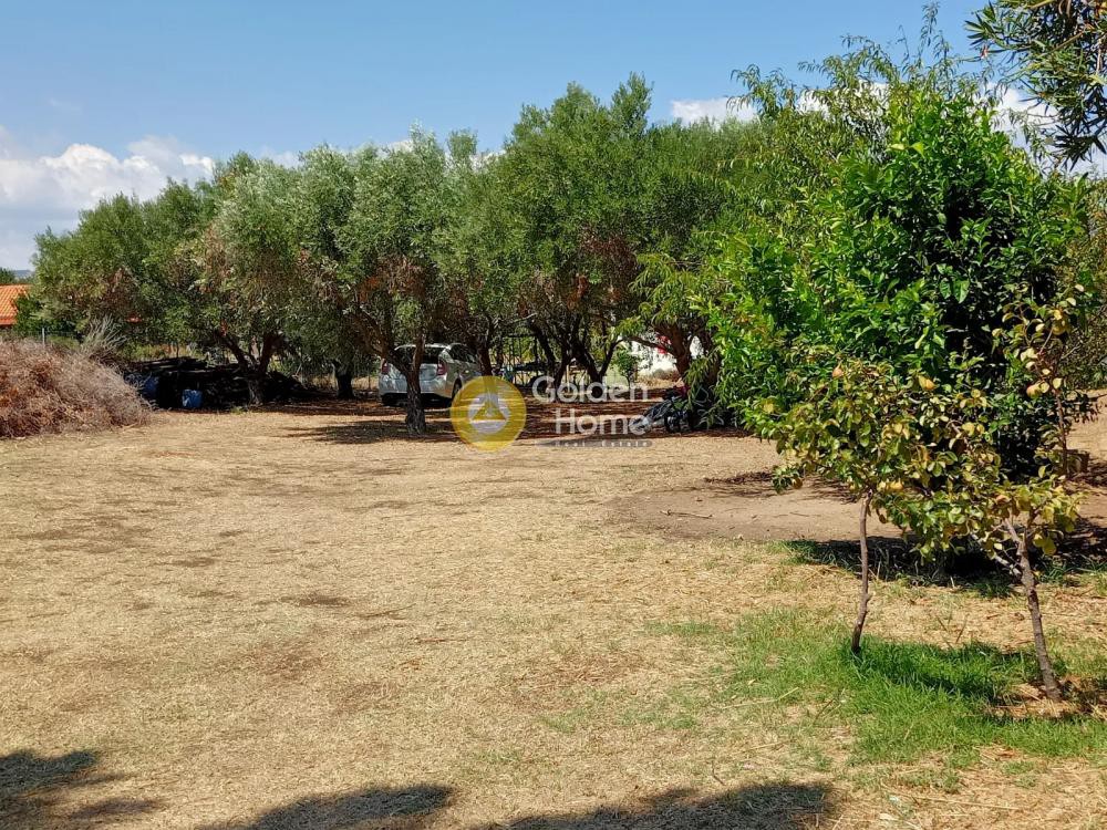 Μονοκατοικία 87 τ.μ. προς πώληση, Όρμος Παναγίας