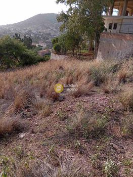 Land plot 1.300sqm for sale-Koropi » Agios Dimitrios