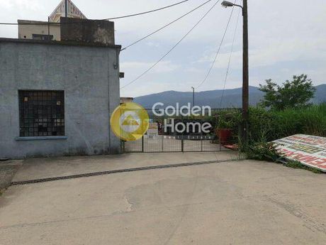 Business bulding 2.550sqm for sale-Livadeia » Perachori