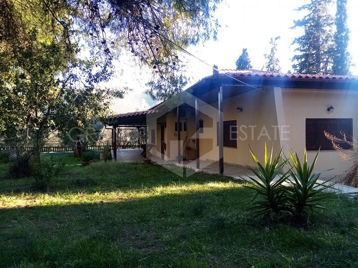 Μονοκατοικία 270 τ.μ. προς πώληση, Ασκληπιείο Επιδαύρου