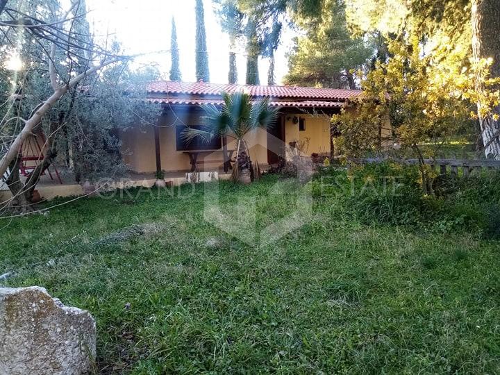 Μονοκατοικία 270 τ.μ. προς πώληση, Ασκληπιείο Επιδαύρου