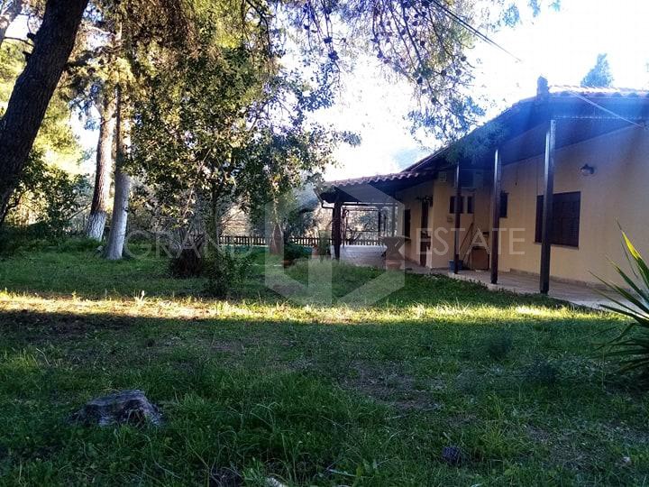 Μονοκατοικία 270 τ.μ. προς πώληση, Ασκληπιείο Επιδαύρου