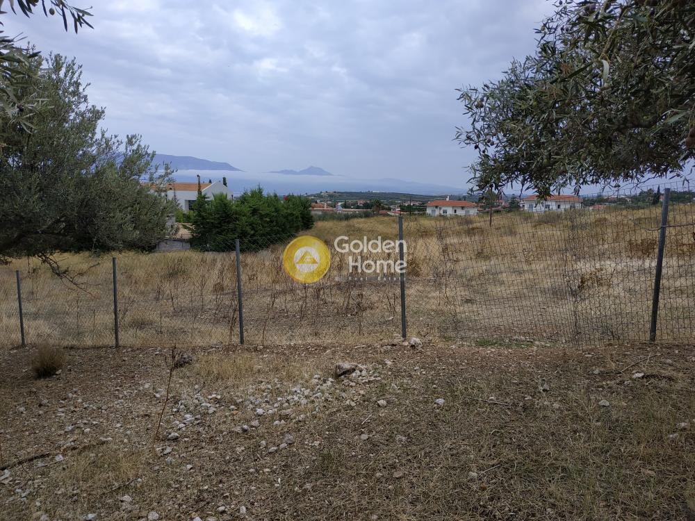 Οικόπεδο 6.465 τ.μ. προς πώληση, Καλαμιά Κορίνθου