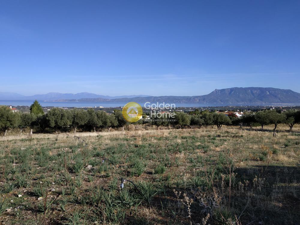 Οικόπεδο 6.465 τ.μ. προς πώληση, Καλαμιά Κορίνθου