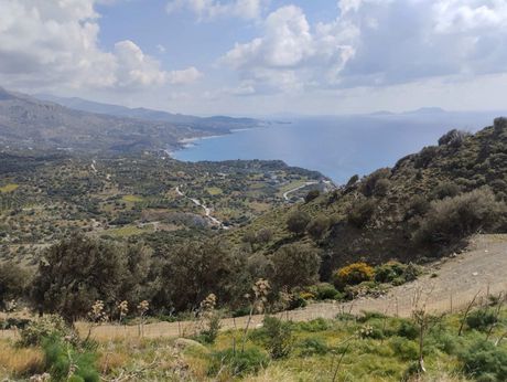 Αγροτεμάχια 10.028τ.μ. για πώληση-Λάμπη » Κεραμές