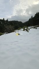 Οικόπεδο 4.080 τ.μ. για πώληση, Φωκίδα, Παρνασσός-thumb-3