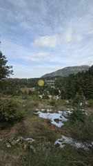 Οικόπεδο 4.080 τ.μ. για πώληση