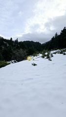 Οικόπεδο 4.080 τ.μ. για πώληση, Φωκίδα, Παρνασσός-thumb-4