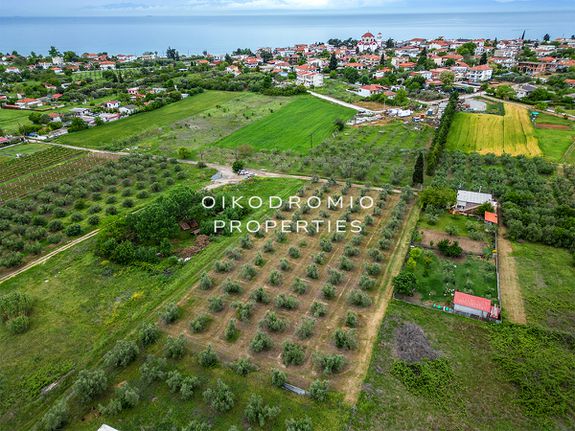 Οικόπεδο 1.950 τ.μ. για πώληση, Χαλκιδική, Καλλικράτεια
