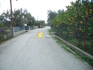 Αγροτεμάχια 4.852 τ.μ. για πώληση