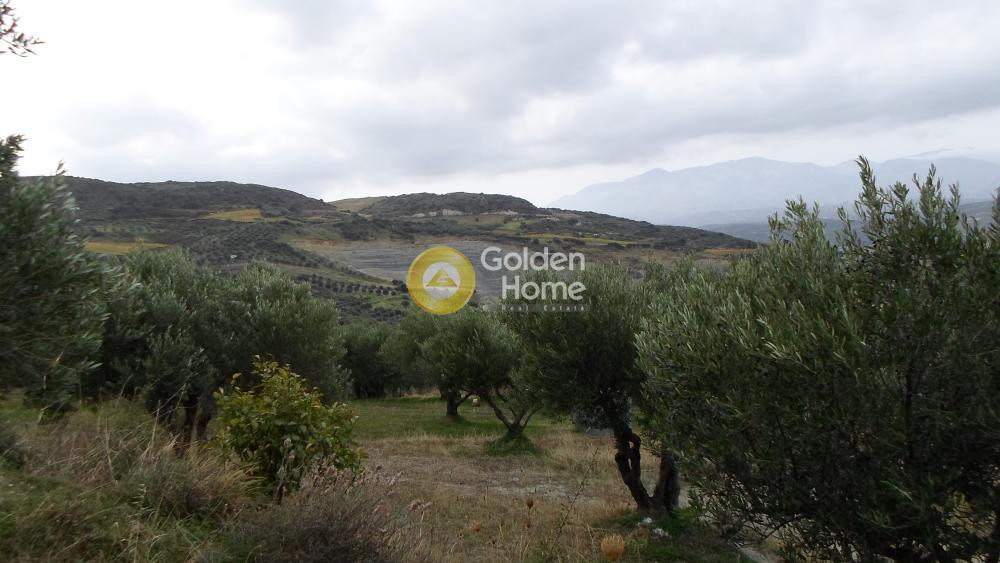 Οικόπεδο 4.000 τ.μ. προς πώληση, Άγιος Βλάσιος Ηρακλείου