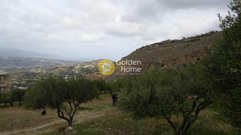 Οικόπεδο 4.000 τ.μ. προς πώληση, Άγιος Βλάσιος Ηρακλείου