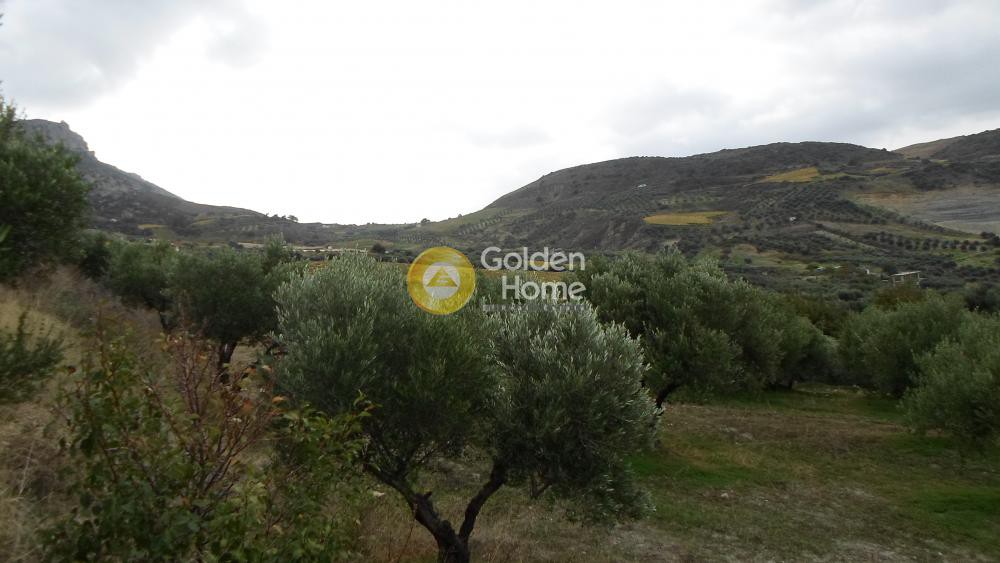 Οικόπεδο 4.000 τ.μ. προς πώληση, Άγιος Βλάσιος Ηρακλείου