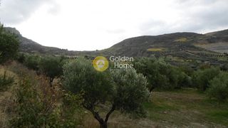 Οικόπεδο 4.000 τ.μ. για πώληση