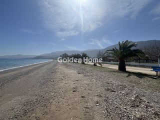Αγροτεμάχια 1.825 τ.μ. προς πώληση, Λόγγος Αιγιάλειας-thumb-3