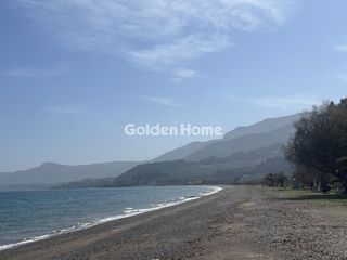 Αγροτεμάχια 1.825 τ.μ. προς πώληση, Λόγγος Αιγιάλειας-thumb-9