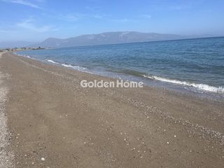 Αγροτεμάχια 1.825 τ.μ. προς πώληση, Λόγγος Αιγιάλειας-thumb-2