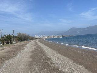Αγροτεμάχια 1.825 τ.μ. προς πώληση, Λόγγος Αιγιάλειας-thumb-10
