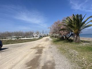 Αγροτεμάχια 1.825 τ.μ. προς πώληση, Λόγγος Αιγιάλειας-thumb-8