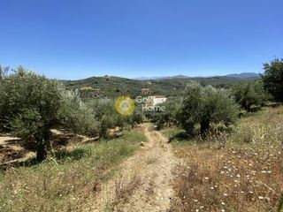 Αγροτεμάχια 8.100 τ.μ. για πώληση, Ν. Χανίων, Κολυμβάρι-thumb-4