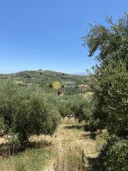 Αγροτεμάχια 8.100 τ.μ. για πώληση, Ν. Χανίων, Κολυμβάρι-thumb-3