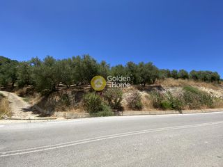 Αγροτεμάχια 8.100 τ.μ. για πώληση, Ν. Χανίων, Κολυμβάρι-thumb-2