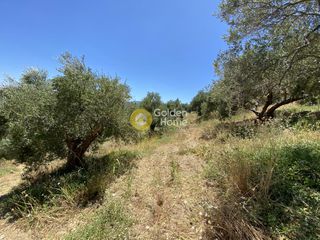 Αγροτεμάχια 8.100 τ.μ. για πώληση, Ν. Χανίων, Κολυμβάρι-thumb-1