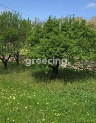 Οικόπεδο 1.190 τ.μ. για πώληση