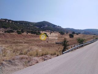 Αγροτεμάχια 20.000 τ.μ. για πώληση