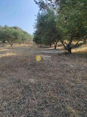Αγροτεμάχια 1.250 τ.μ. για πώληση