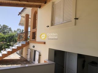Κτίριο 230 τ.μ. προς ενοικίαση, Μαγούλα Ερέτριας-thumb-49