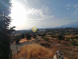 Αγροτεμάχια 3.078 τ.μ. για πώληση