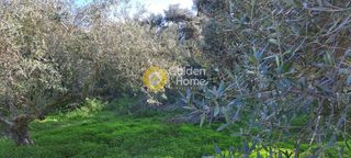 Οικόπεδο 3.579 τ.μ. για πώληση