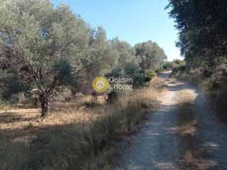 Οικόπεδο 12.000 τ.μ. για πώληση, Ν. Ρεθύμνου, Αρκάδι-thumb-5