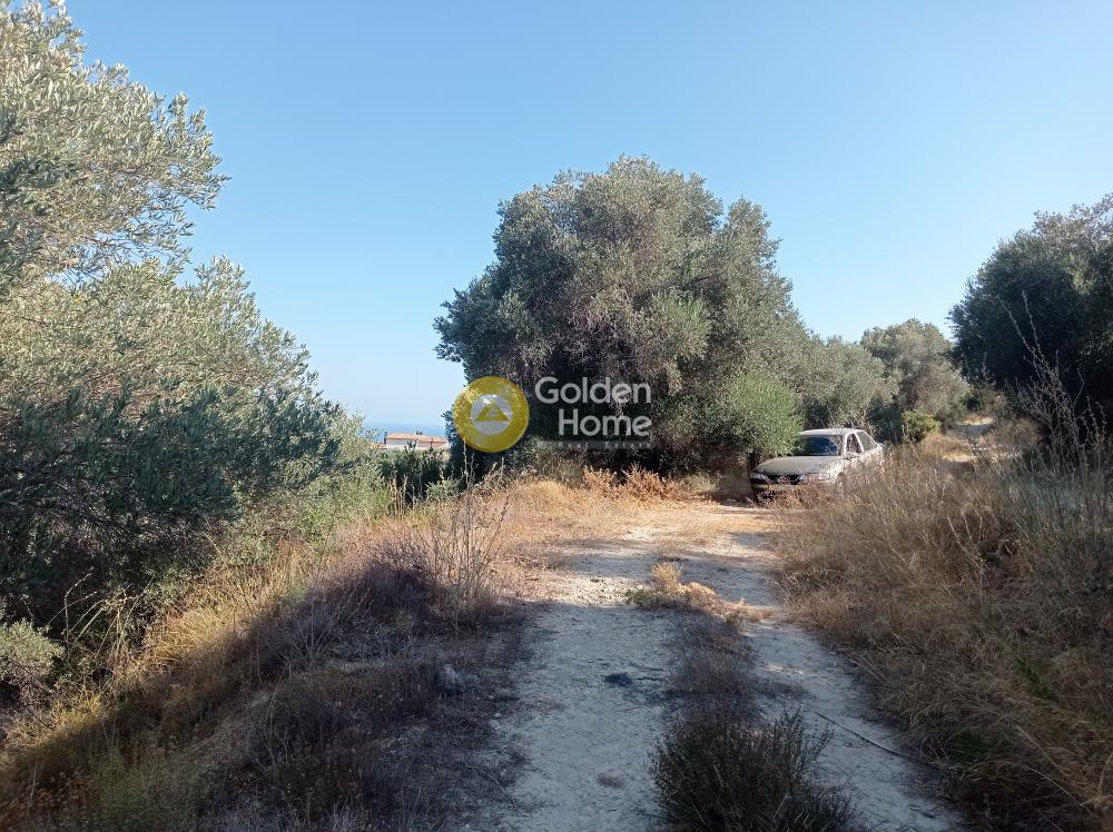 Οικόπεδο 12.000 τ.μ. πρός πώληση, Ν. Ρεθύμνου, Αρκάδι