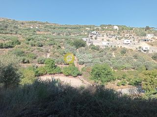 Οικόπεδο 12.000 τ.μ. για πώληση, Ν. Ρεθύμνου, Αρκάδι-thumb-11