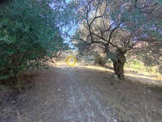 Οικόπεδο 12.000 τ.μ. για πώληση, Ν. Ρεθύμνου, Αρκάδι-thumb-1