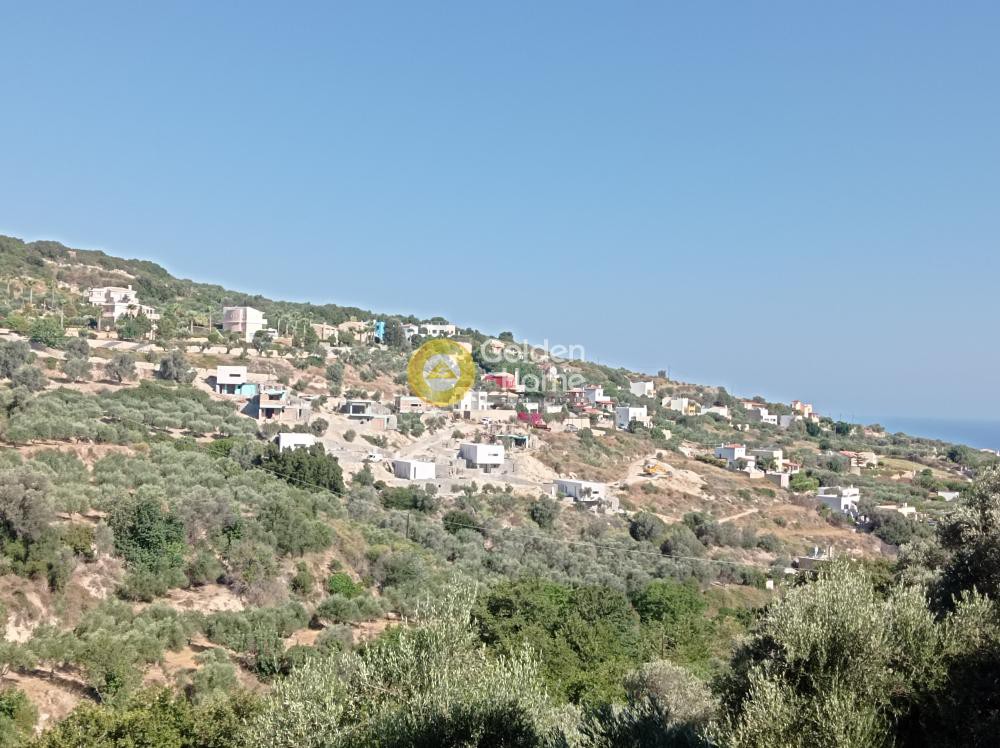 Οικόπεδο 12.000 τ.μ. πρός πώληση, Ν. Ρεθύμνου, Αρκάδι
