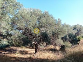 Οικόπεδο 12.000 τ.μ. για πώληση, Ν. Ρεθύμνου, Αρκάδι-thumb-6