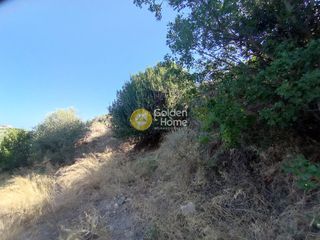 Οικόπεδο 12.000 τ.μ. για πώληση, Ν. Ρεθύμνου, Αρκάδι-thumb-7